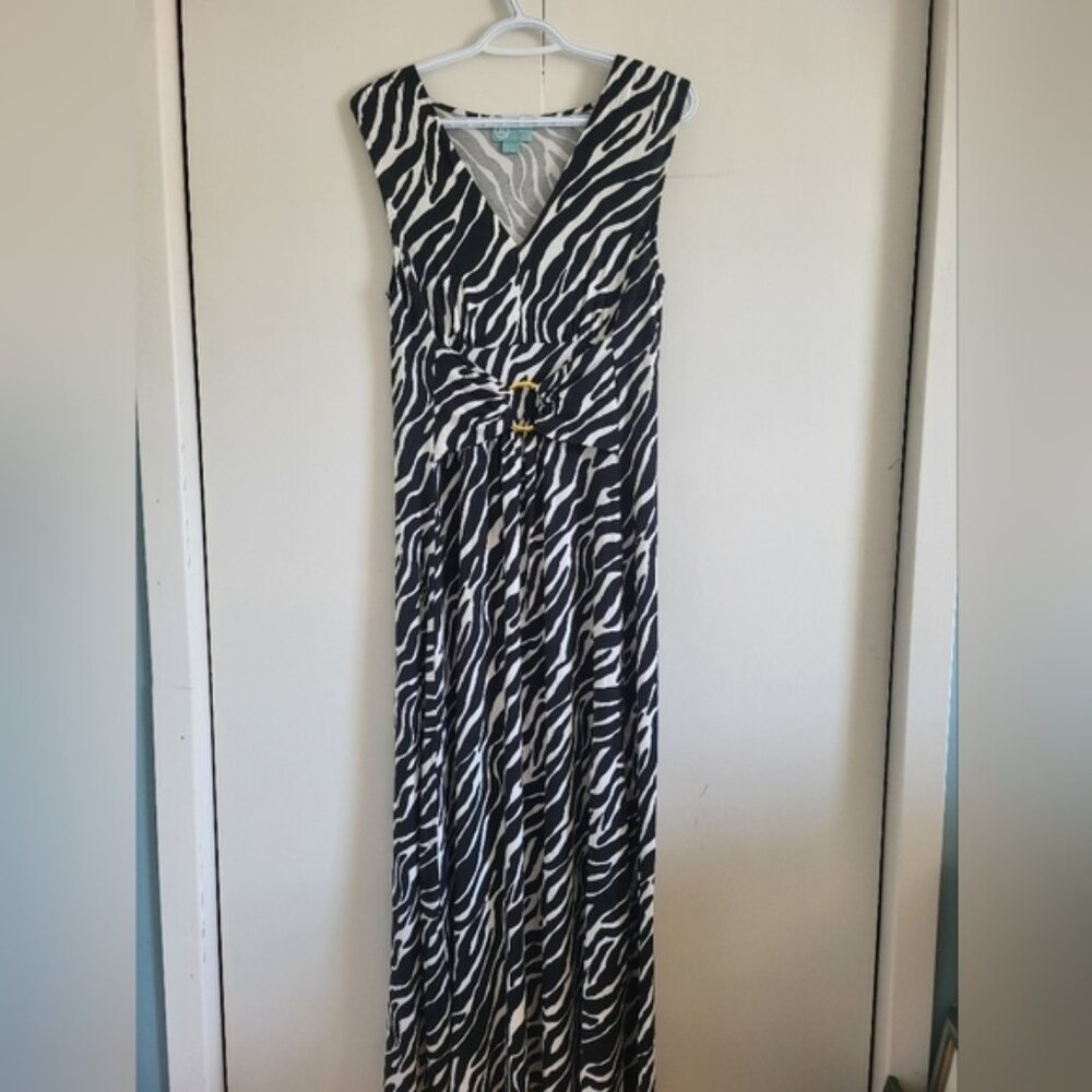 Zebra Print Maxi Dress